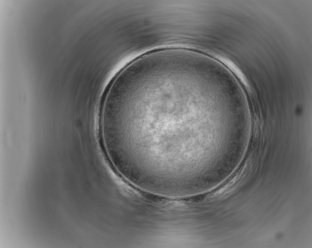 X0000095521101200712211257