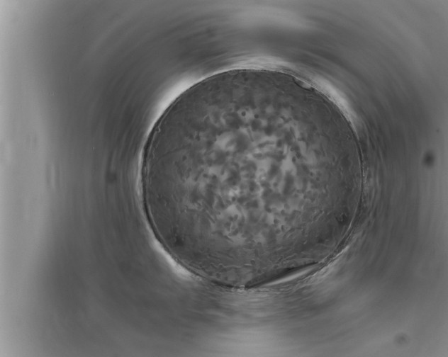 X0000095521103200712211257