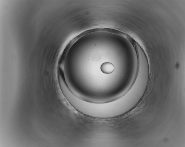 X0000095521104200712211257