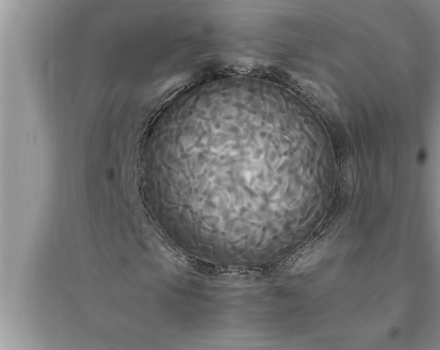 X0000095521105200712211256