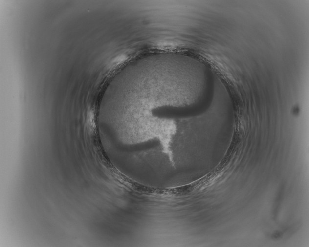 X0000095521106200712211256