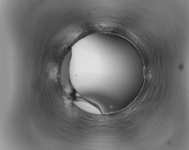 X0000095521108200712211256