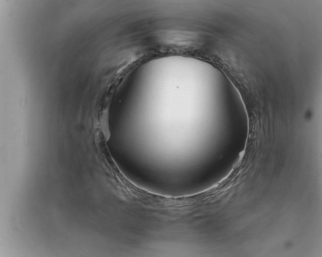 X0000095521109200712211256