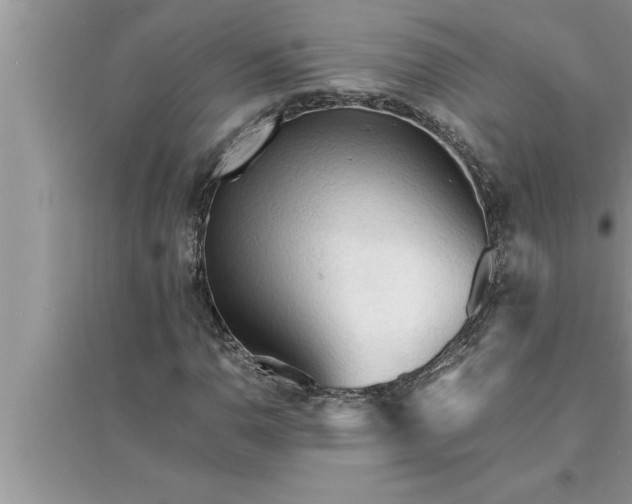 X0000095521110200712211256