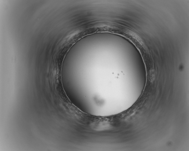 X0000095521111200712211256