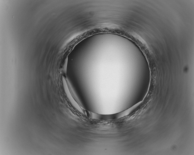 X0000095521112200712211256