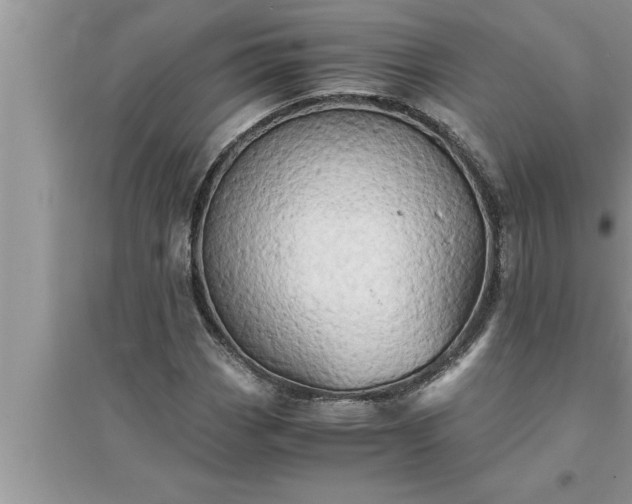 X0000095521113200712211256