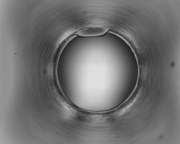 X0000095521114200712211256