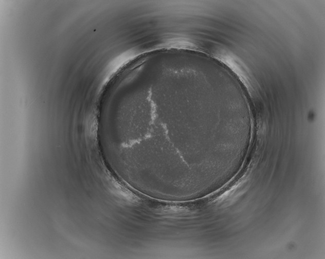 X0000095521115200712211256