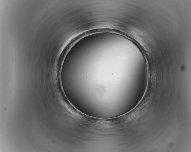 X0000095521116200712211256