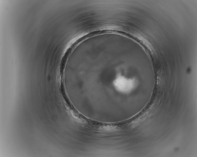 X0000095521117200712211256