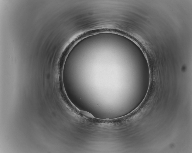 X0000095521118200712211256