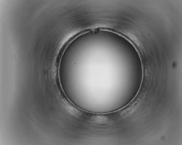 X0000095521119200712211257