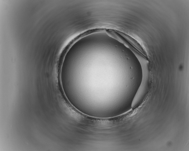 X0000095521120200712211257