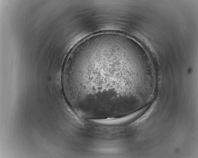 X0000095521121200712211257