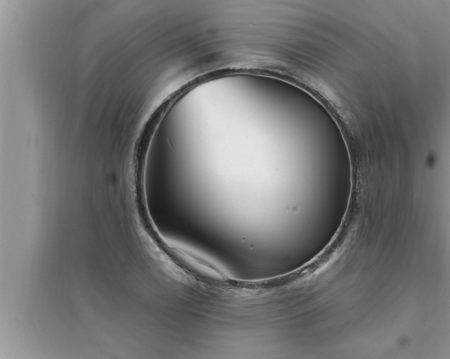 X0000095521122200712211257