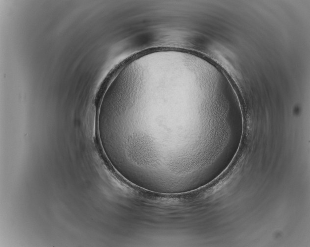 X0000095521123200712211257