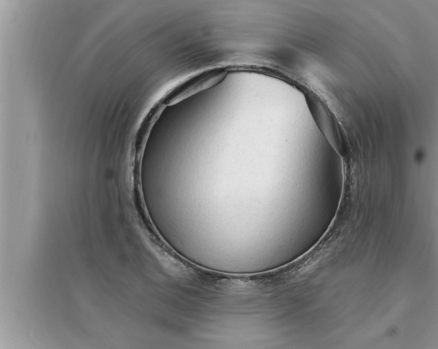 X0000095521124200712211257