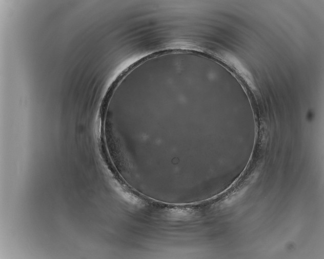 X0000095521125200712211257