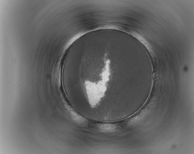 X0000095521127200712211257