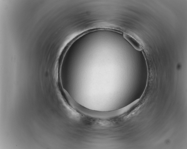 X0000095521128200712211257