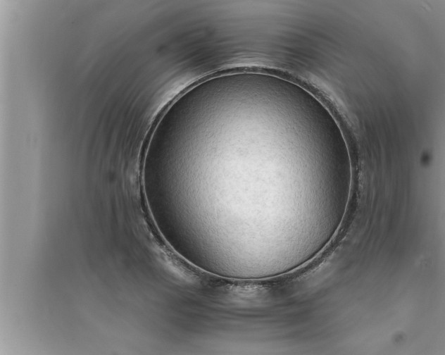 X0000095521129200712211257