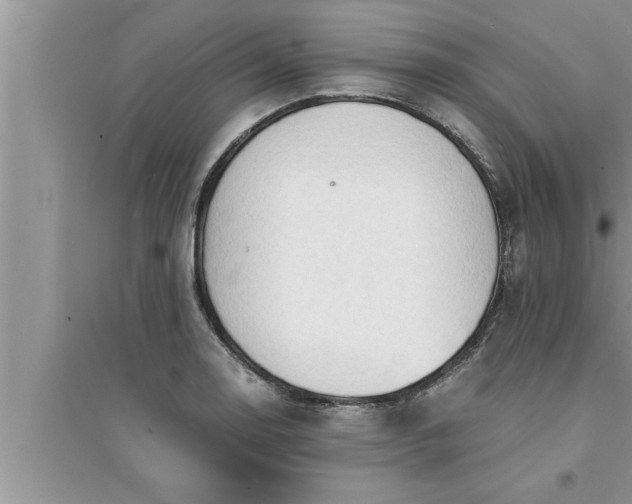 X0000095521130200712211257