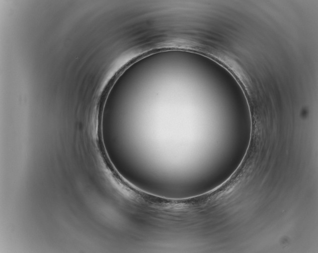 X0000095521131200712211257