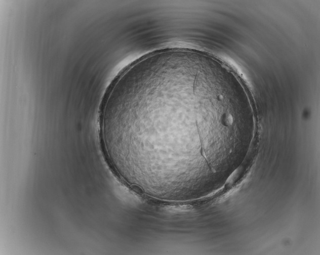 X0000095521133200712211257