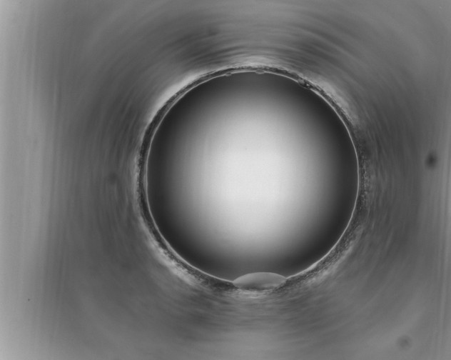 X0000095521134200712211257