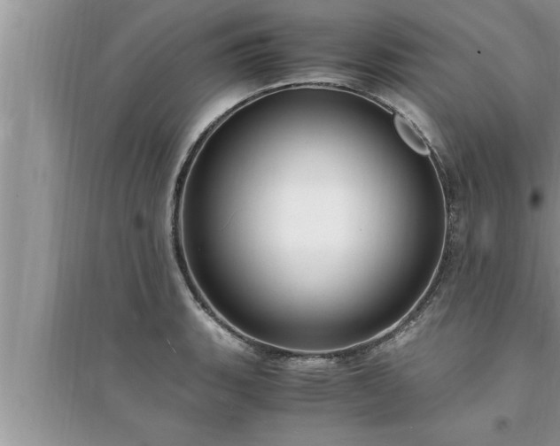 X0000095521135200712211257