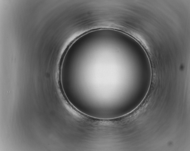 X0000095521136200712211257