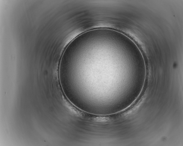 X0000095521137200712211257