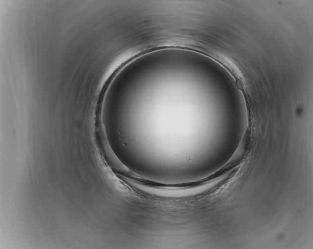 X0000095521138200712211257