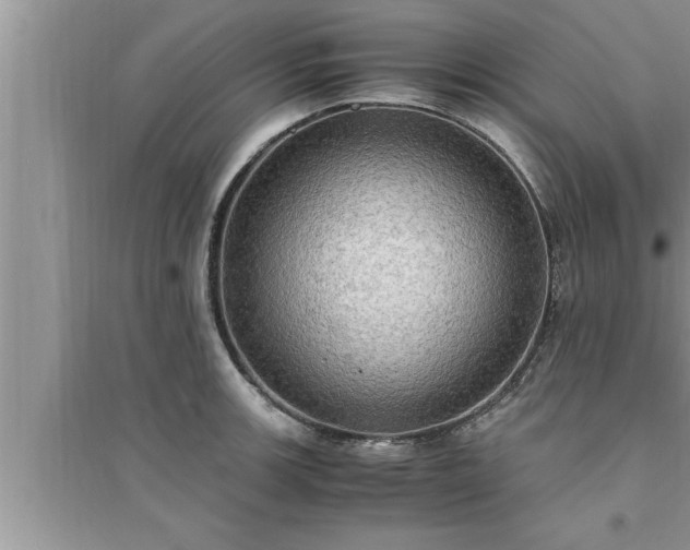 X0000095521139200712211257