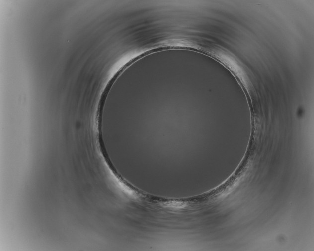 X0000095521141200712211257