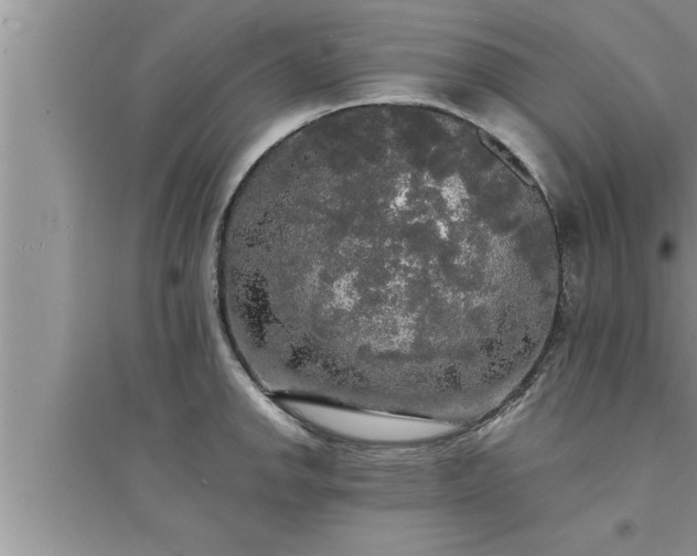 X0000095521142200712211257