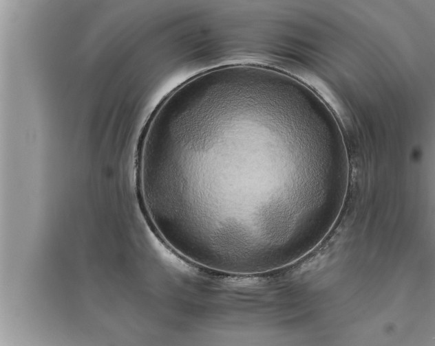 X0000095521143200712211257