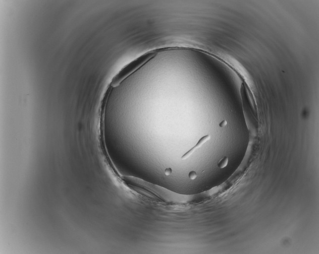 X0000095521144200712211257