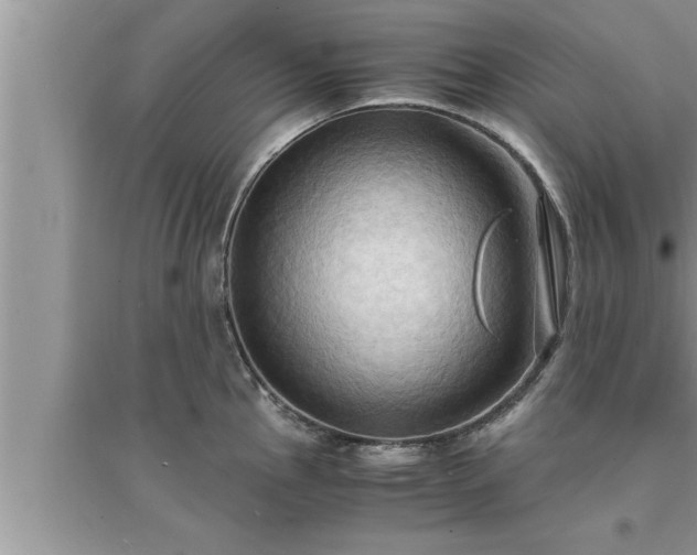 X0000095521145200712211257