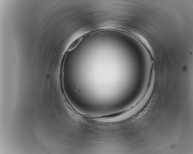 X0000095521146200712211257