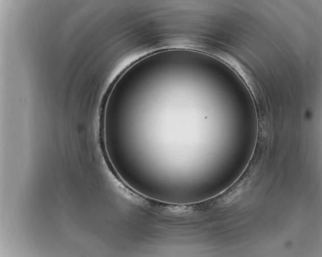 X0000095521147200712211257