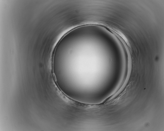 X0000095521148200712211257