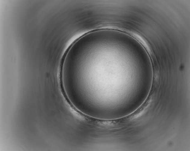 X0000095521149200712211257