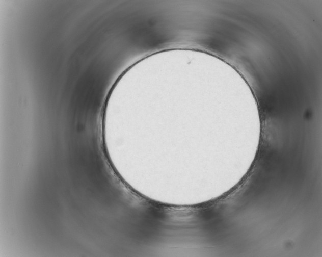 X0000095521150200712211257