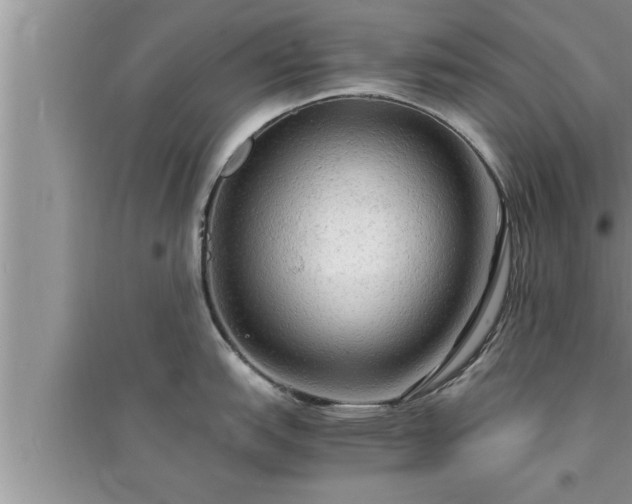 X0000095521151200712211257