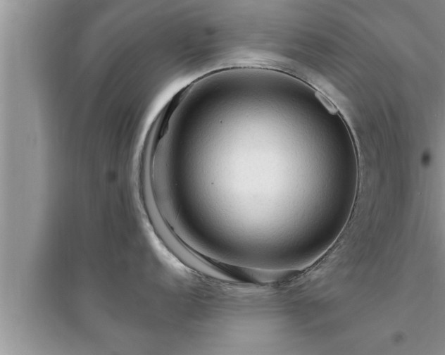 X0000095521152200712211257