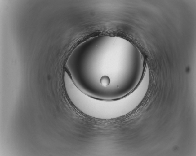 X0000095521153200712211256