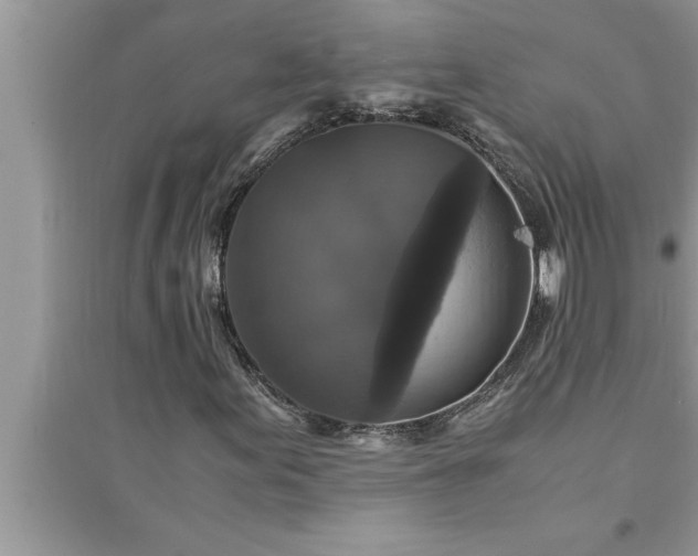 X0000095521155200712211256