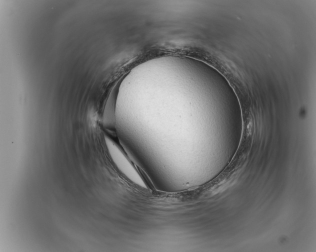 X0000095521156200712211256